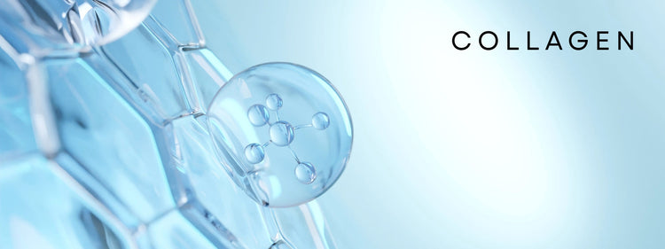 Collagen