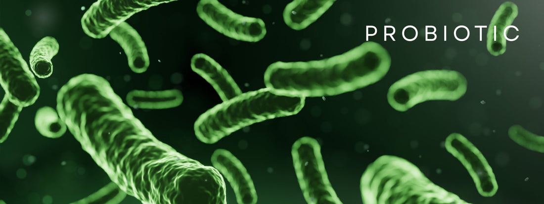 Probiotic