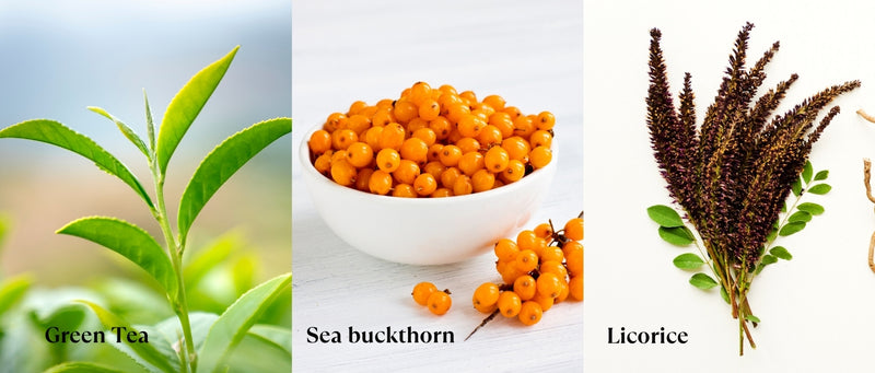 Sayonara Face Wash with Green Tea, Sea Buckthorn & Licorice – Clears blemishes, controls oil, soothes skin & promotes a healthy glow.