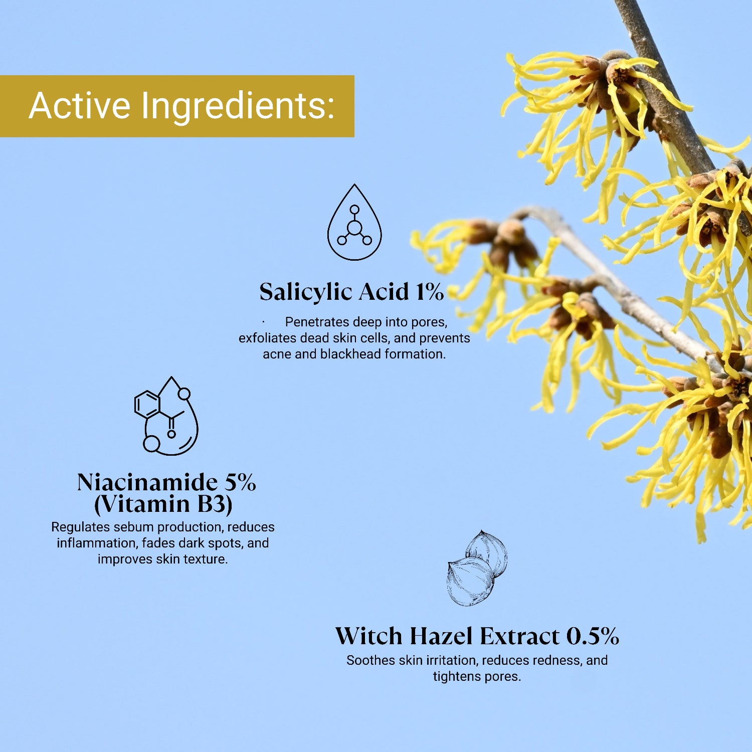 Active ingredients of Lashika anti-acne day gel with yellow flowers on a blue background