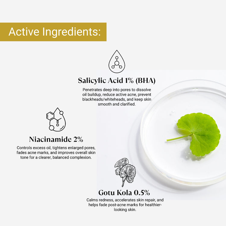 Active ingredients of a anti-acne night cream with salicylic acid, niacinamide, and gotu kola on a white background.